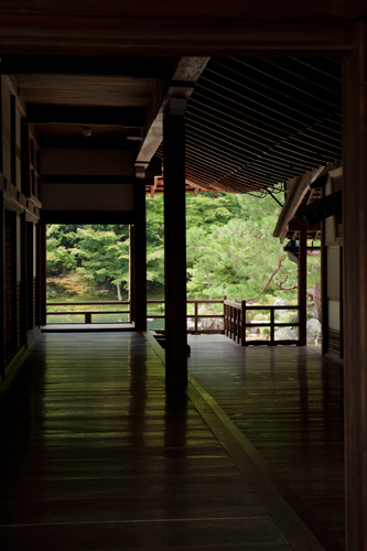 京都自由出張 - 1日目：天龍寺内