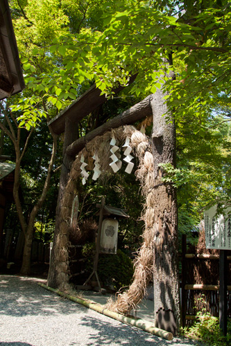 野々宮神社 黒木鳥居
