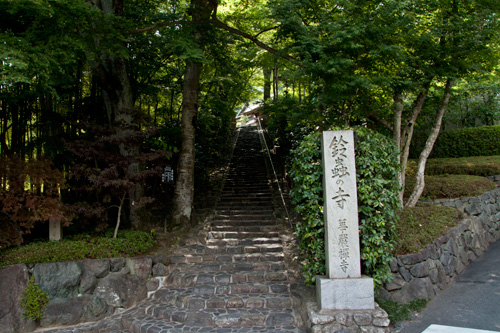 鈴虫寺 境内への階段 鈴虫寺 境内への階段