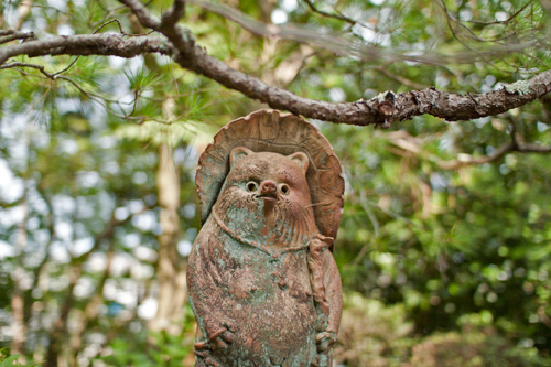 鈴虫寺の狸 鈴虫寺の狸