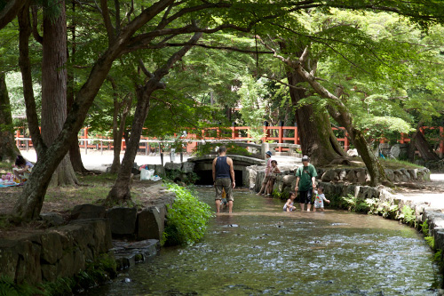 上賀茂神社 - 境内の小川 上賀茂神社 - 境内の小川