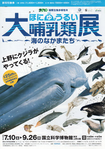 大哺乳類展-海のなかまたち チラシ 大哺乳類展-海のなかまたち チラシ