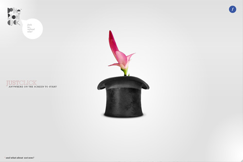dotherightclick™ / hi! dodo is here!