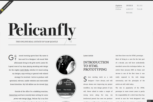 Pelican Fly Pelican Fly
