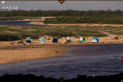 National Parks Project