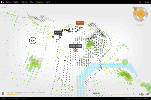 NFB/Interactive - Bear 71